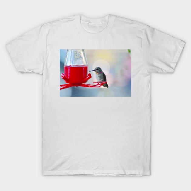 Hummingbird Halo T-Shirt by SandiLin